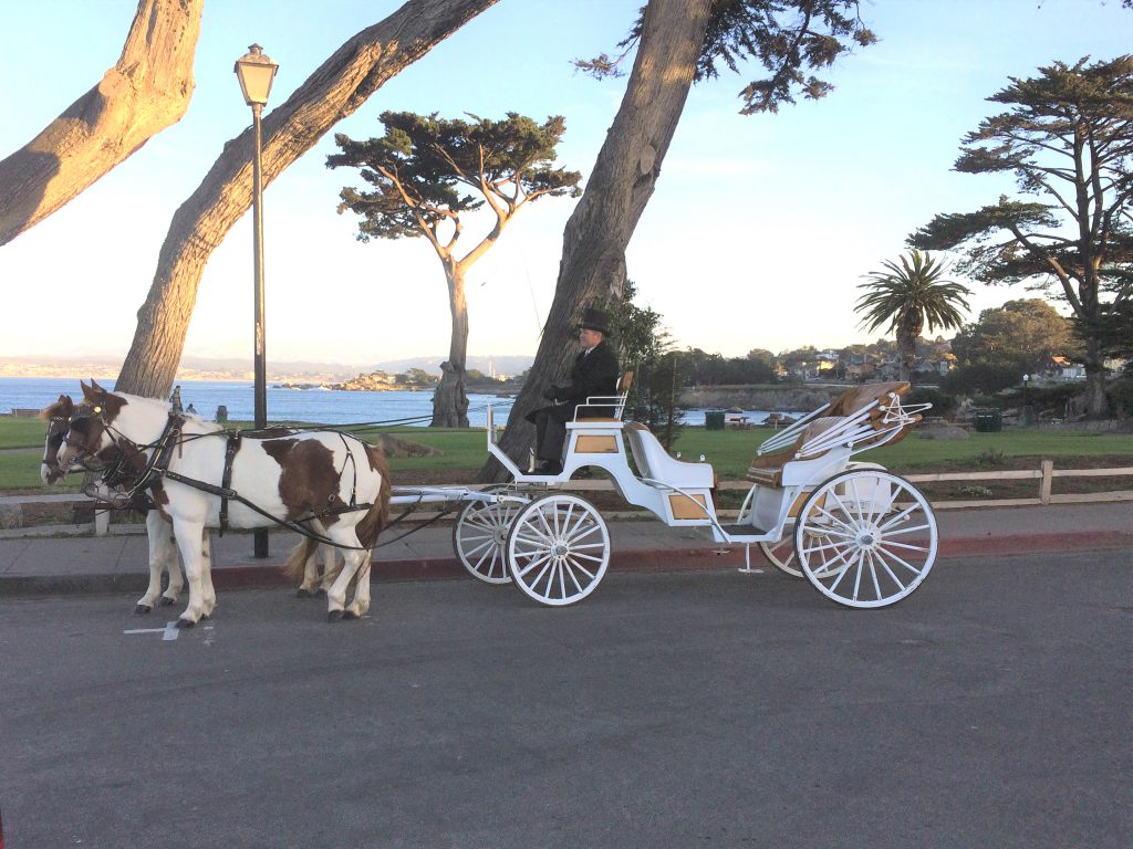 Monterey Bay Equestrian Center Beach Ride Services And More